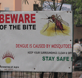cartel indicando precaucion con el dengue y los mosquitos