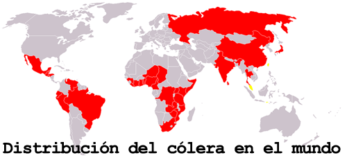 distribucion del colera por el mundo