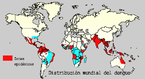 distribucion del dengue en el mundo