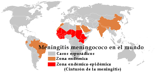 localizacion de meningitis en el mundo