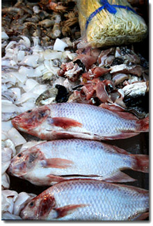 Pescado en un mercado de Ayutthaya