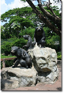 Estatua del oso en el zoo de Dusit