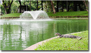 lago en el Parque Lumphini en Bangkok