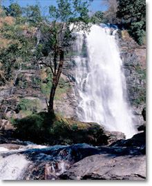 cascada en Doi Inthanon