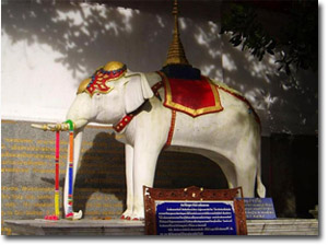 elefante blanco en el templo Wat Phrathat Doi Suthep