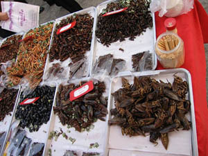 insectos en un mercado de Chiang Mai