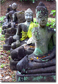 estatua de buda en el templo Wat Umong