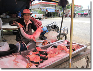 vendiendo pescado en Chiang Khong