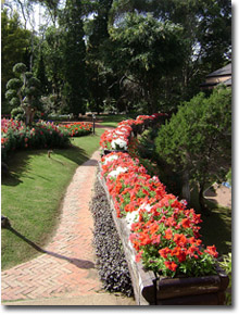 jardines en la Villa Real Doi Tung