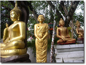Imágenes de Buda cerca del árbol Bodhi 