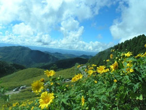 paisaje con flores cerca de Mae Hong Son