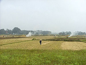 campos en la provincia de Nan