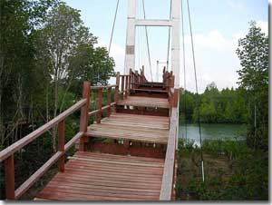 puente en el parque nacional mu ko Chumphon
