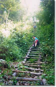escalera artesanal cerca de las cuevas en Ko Lanta