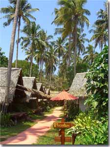 bungalows en Ko Pha Ngan