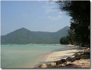 Playa de Phi Phi