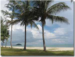 playa con palmeras en Songkhla