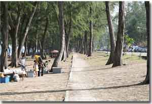 en un parque entre arboles en Songkhla