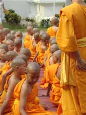 jovenes monjes